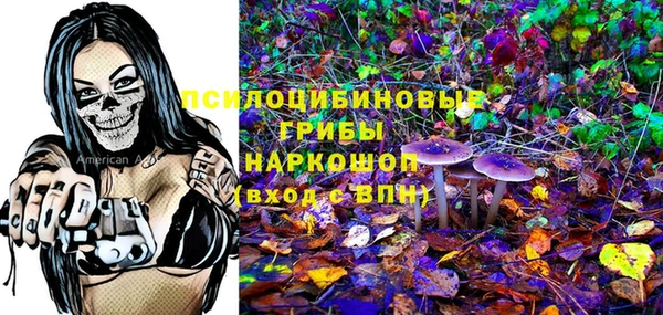 круглые Алексеевка
