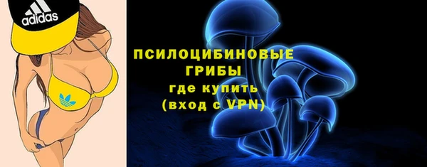 круглые Алексеевка