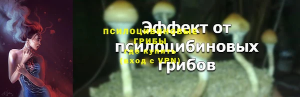 круглые Алексеевка