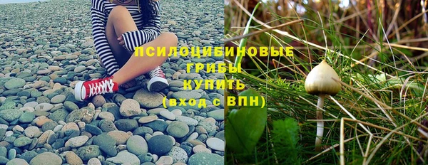 круглые Алексеевка