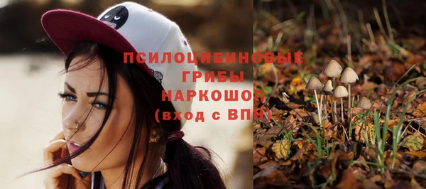 экстази Алексин