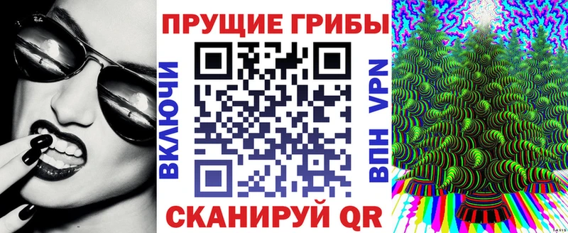 где купить наркотик  Николаевск  Галлюциногенные грибы мухоморы 